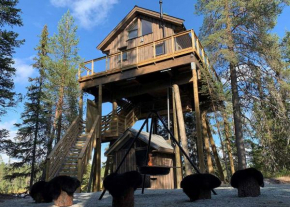 Fantastic Experiences, Wooden Cabin A Serene Escape in Trysil Forest